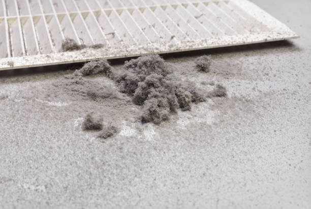 Best Professional Duct Cleaning Services  in Lake City, PA