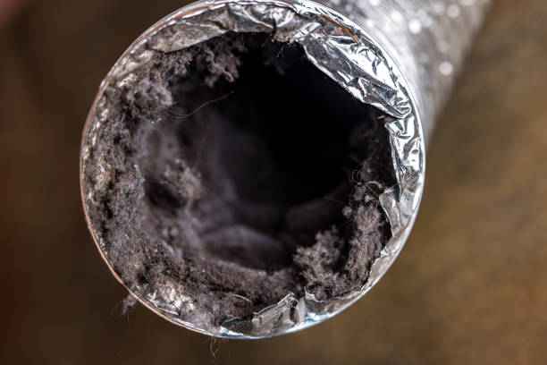Best Air Duct Cleaning Near Me  in Lake City, PA